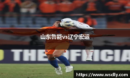 山东鲁能vs辽宁宏运